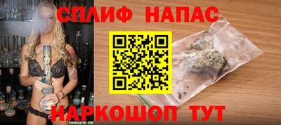 амф Гатчина
