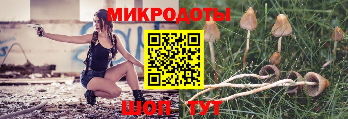 Гусев  Псилоцибиновые грибы Magic Shrooms  Вход с VPN  Галлюциногенные грибы Cubensis 