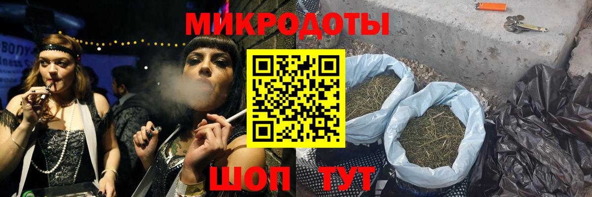 Псилоцибиновые грибы Psilocybe Гусев